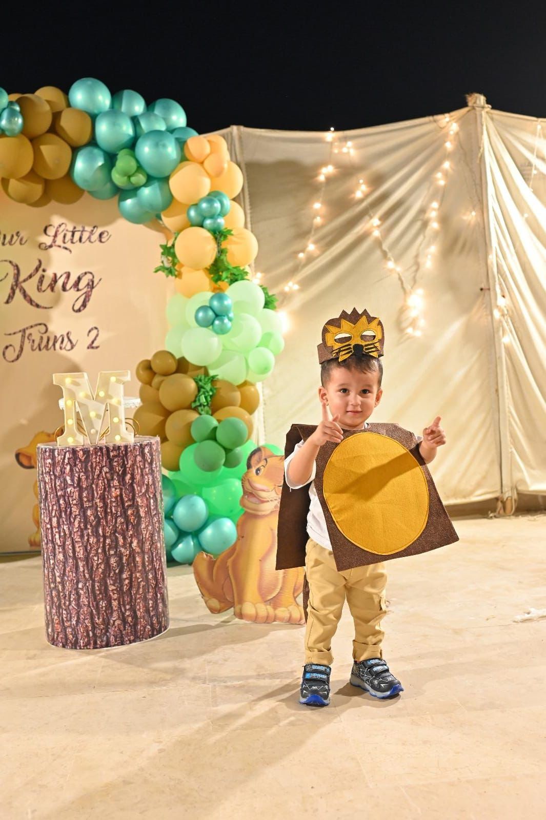 Lion Costume, Toddler Boy Halloween Costume | Toddler Costume | kids Costume